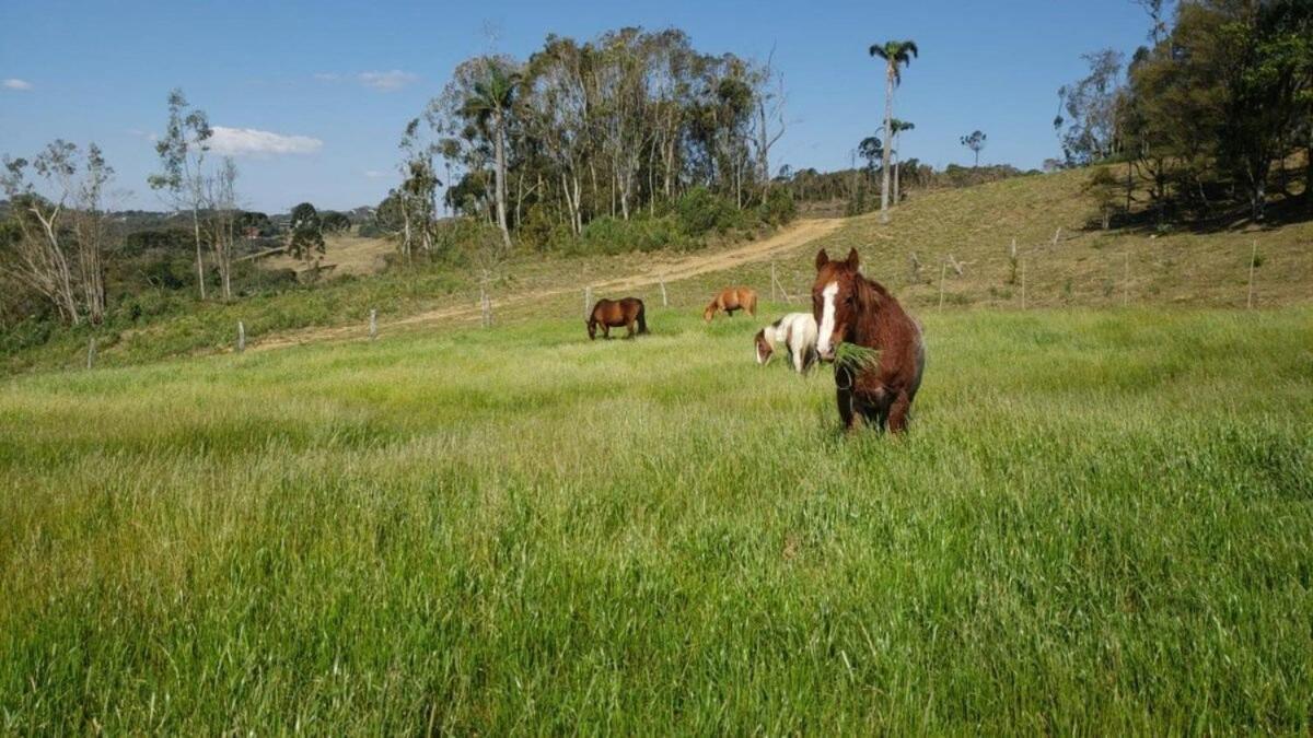 Rancho Sol Poente - Rancho Queimado - Sc Villa Luaran gambar